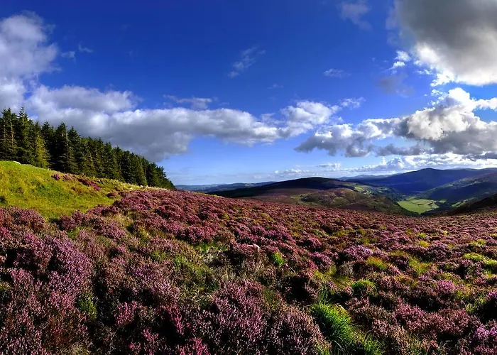 Vakantiehuis Village No 32 By Trident Homes *